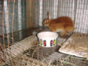mvc-026f.jpg