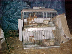 mvc-030f.jpg